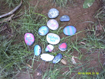 Digital Camera